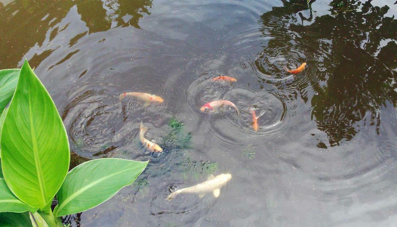 Yesterday Sathon Bangkok Bagian luar foto